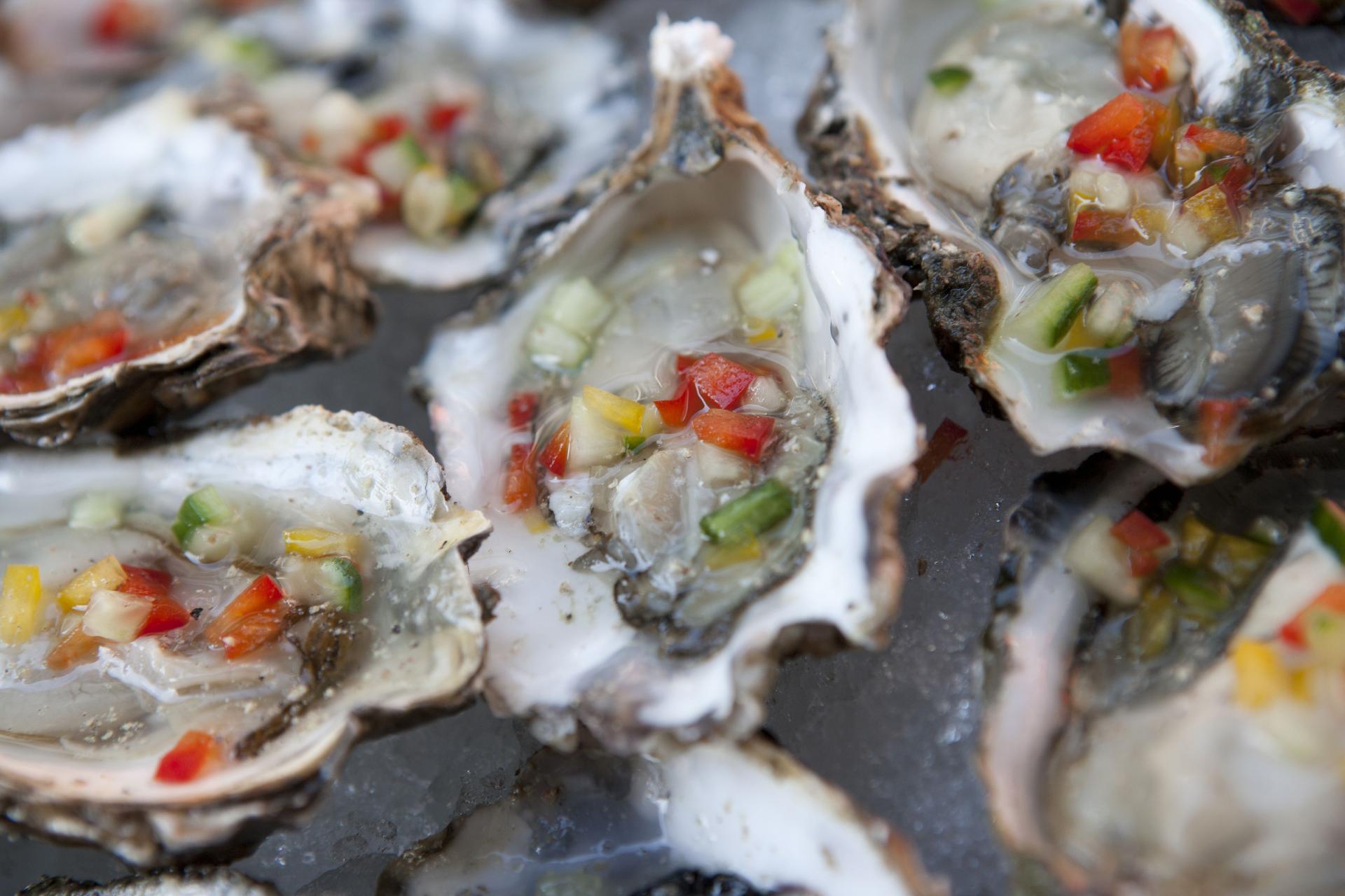 Meeresfrüchte niederlande Meeresfrüchte