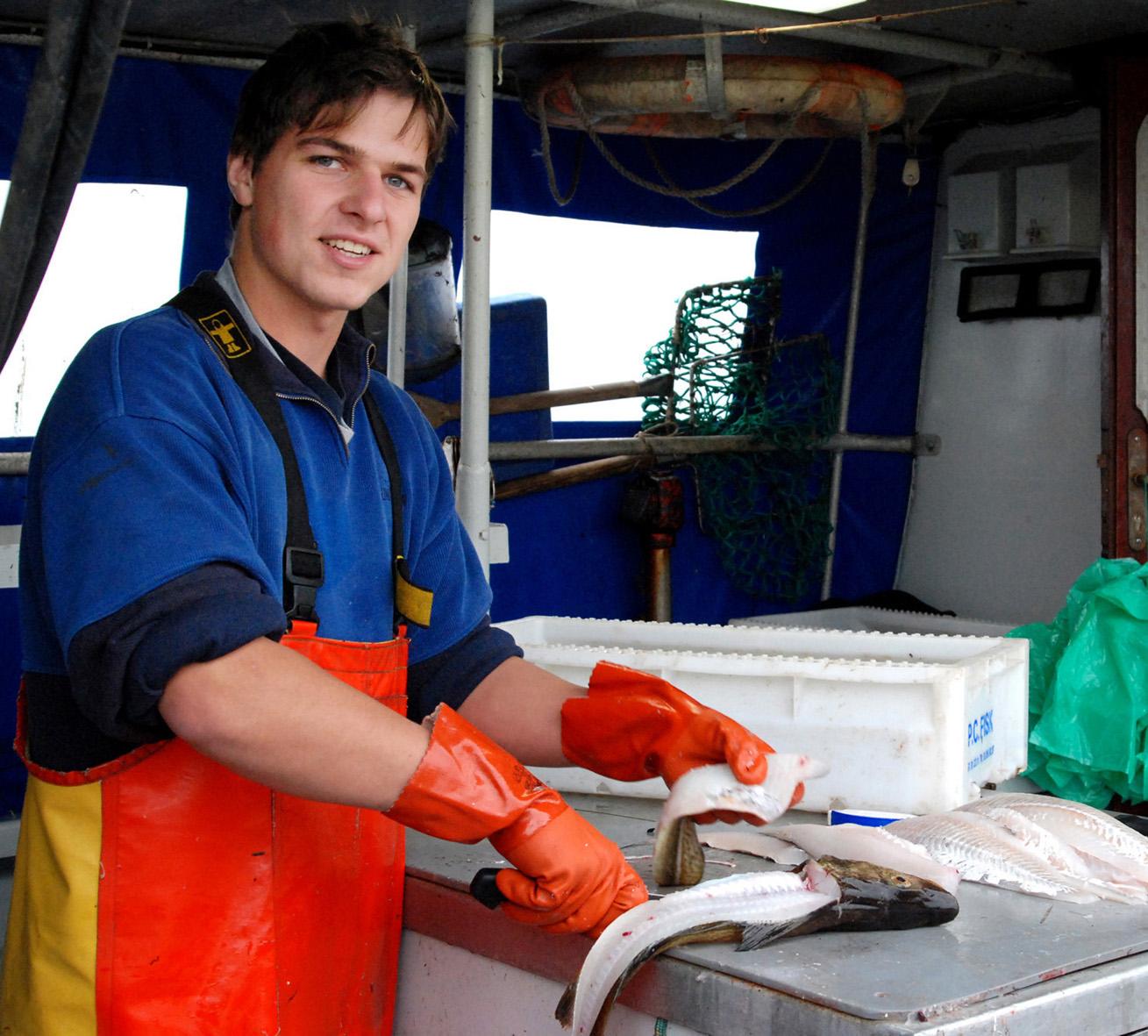 frischer Fisch vom Kutter